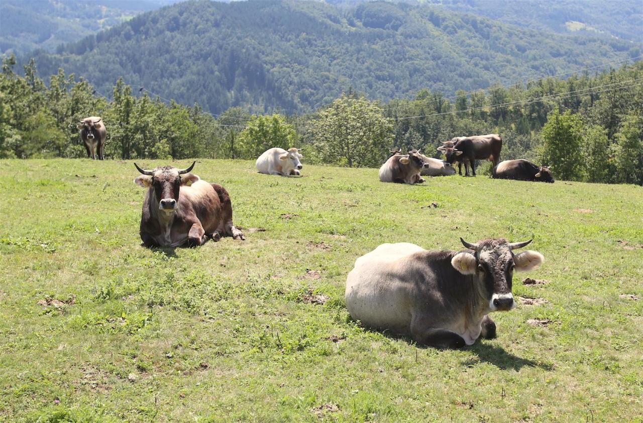 Mecavnik Resort Mokra Gora Ngoại thất bức ảnh